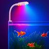 Lights