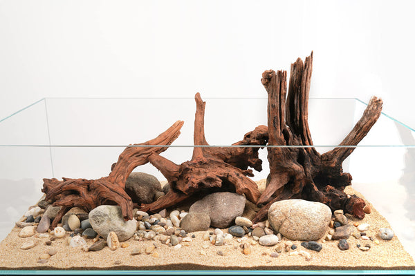 Drift Wood