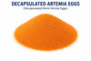 Decapsulated Artemia/Baby Brine Shrimp