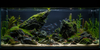 Seiryu Rock For Aquascaping