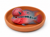 Cube One CL-008-Clay Plater Flowerhorn Breeding Clay 8 Inch Diameter