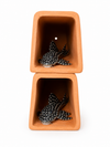 Cube One CL-006-Square Pleco Cave