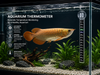 Aquarium Sticker Thermometer