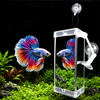 Rumble Fish Grooming Mirror – Aquarium Training Mirror (10.5 x 5.6 cm) with Floating Ball & Suction Cup | Interactive Fish Exercise Toy for Stress Relief & Aggression Control