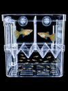 Guppy Breeding Box with Suction Cups – Large 145x85x145mm | Transparent Isolation & Breeding Tank for Fish, Fry & Betta | Sturdy, Safe & Easy to Use