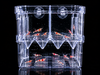 Guppy Breeding Box with Suction Cups – Large 145x85x145mm | Transparent Isolation & Breeding Tank for Fish, Fry & Betta | Sturdy, Safe & Easy to Use